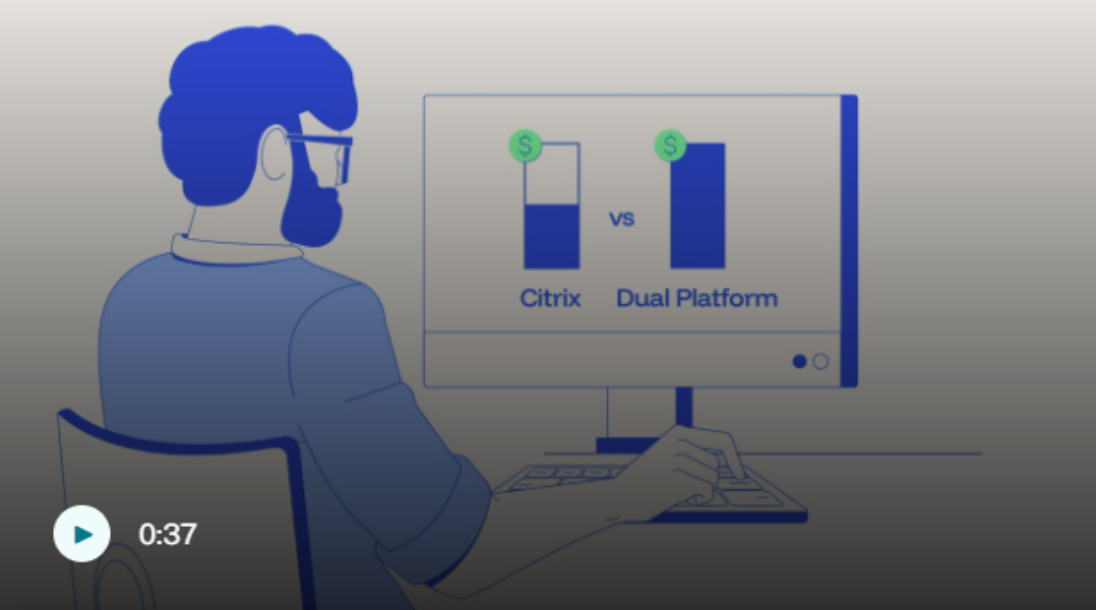 컴퓨터 화면에서 Citrix와 Dual Platform의 비용 그래프를 비교해 보는 사용자 일러스트